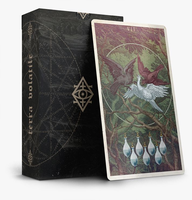 Cartes de tarot personnalisées en papier avec estampage à chaud doré, boîte rigide pour la lecture spirituelle et le divertissement familial, cadeau