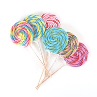 Bonbons sucettes artisanales géantes en spirale aux fruits arc-en-ciel, emballage individuel, 8,8 oz, fabrication OEM/ODM directe usine