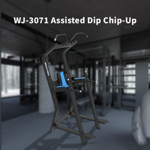 Offre Spéciale Commercial Musculation Gym Fitness Equipment Multi-Fonction Vertical <span class=keywords><strong>Kness</strong></span> Up/Dip Station pour un exercice efficace - Product Image 4