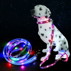 Ensemble de collier et de laisse réglables de sécurité nocturne - Product Image 1