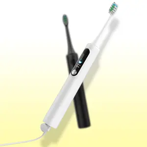 Baolijie USB Rechargeable Ultrasonic 2 Brush Head 6 Modes Adults Sonic Electric Toothbrush