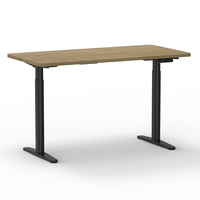 Haute qualité ergonomique électrique hauteur réglable levage debout ordinateur bureau motorisé bureau Table réglable