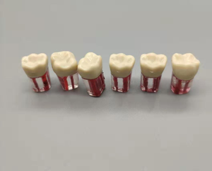Bloque de entrenamiento para práctica Dental Root Canal Dientes Endodoncia Resina Manual Pulpa abierta Modelo de conducto radicular para tratamiento - Product Image 6