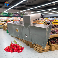 Machine automatique de dénoyautage de cerises, de pruneaux, d'abricots, de litchis, machine à dénoyauter les fruits