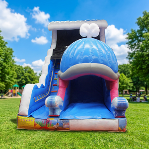 WINSUN Whale Shaped PVC Inflatable Dry Slide Commercial For Public Park Kindergarten Outdoor Playground Kids - Product Image 1