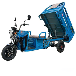Triciclo de Pasajeros Nuevo 2026 con Techo y Batería de Litio de 60V para Transporte Agrícola de Adultos, Carro Cerrado de Alta Resistencia - Product Image 6