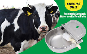 Abreuvoir <span class=keywords><strong>pour</strong></span> bétail robuste et amélioré en acier inoxydable avec valve à flotteur <span class=keywords><strong>pour</strong></span> bovins et ovins - Product Image 5
