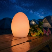 Oplaadbare LED-ei-vormige tafellamp voor binnen/buiten, 16 kleuren, afstandsbediening, Valentijnsdecoratieve nachtlamp voor restaurants