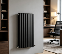 Radiateur de chauffage hydronique moderne, radiateur mural vertical à double panneau plat en acier, radiateurs pour le chauffage dans les hôpitaux