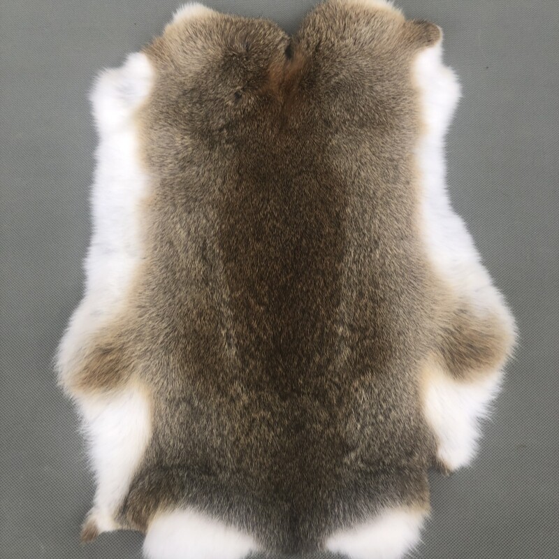N°4