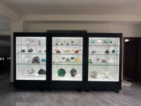 Vitrine de musée ZHONGYI, vitrine d'exposition de minéraux avec éclairage LED, vitrine élégante pour musée, meuble de vitrine
