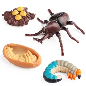 Simulation Of Solid Small Animal Growth Cycle Model Children's Scientific And Educational Toys