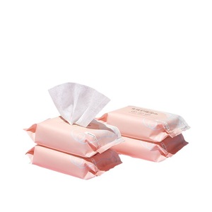 Lingettes féminines 20 lingettes par paquet 4 paquets Soins intimes post-partum Soins de la peau Matériel non tissé - Product Image 1