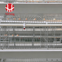 Cage à poulets de chair de type H, cage à batterie pour poulets de chair, 4 niveaux, galvanisée à chaud, ventilation haute densité, CE, bande à fumier, sol en plastique