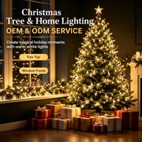 Guirlandes lumineuses LED personnalisées IP65, étanches, pour l'extérieur, pour les fêtes, le jardin, l'arbre, le patio, la décoration de la maison