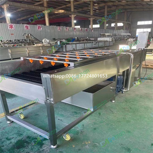 Prix d'usine avocat feijoa laveuse nettoyeur nèfle cerise rouleau machine à laver abricot pêche brosse rouleau machine de nettoyage - Product Image 6