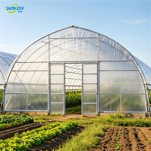Invernadero Quonset <span class=keywords><strong>de</strong></span> un solo tramo con película UV <span class=keywords><strong>de</strong></span> 0.12mm para la producción <span class=keywords><strong>de</strong></span> <span class=keywords><strong>cilantro</strong></span>, bajo costo y alta luminosidad - Product Image 4