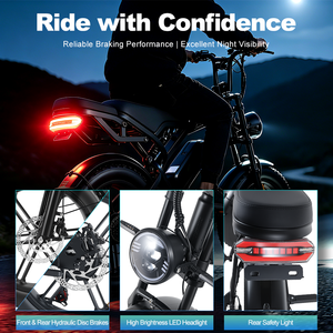 Vélo électrique V60 Fatbike 20 pouces, vélo électrique 250 <span class=keywords><strong>watts</strong></span>, vélo à pneus larges, 25 km/h, 250w - Product Image 4