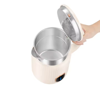 Bouilloire Électrique Modèle Privé en Gros, Design à Rayures Verticales, Contrôle de Température, Base Rotative à 360° pour Usage Domestique et Hôtelier