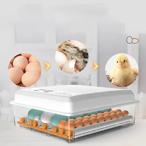 Güçlü dayanıklı dijital inkübatör 500 yumurta kuluçka makinesi tavuklar için otomatik yumurta kuluçka