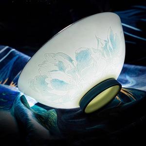 Service de table et vaisselle en porcelaine de style européen minimaliste, 60 pièces, motif fleur de glace, en porcelaine fine, vente chaude - Product Image 5