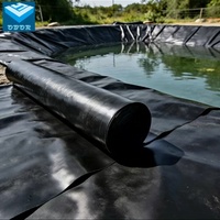 Feuille de géomembrane HDPE 1,0 mm-3,0 mm pour lacs artificiels, lagons, barrages, bassins de stockage d'eau, revêtement non toxique en HDPE