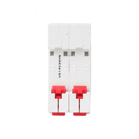 Disjoncteurs MCB 2 pôles 63 ampères, disjoncteur miniature 63A 16A