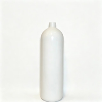 Bouteille d'extincteur en acier inoxydable de haute qualité 3 kg certifiée ISO CE pour extincion d'incendie portable, utilisable, OEM