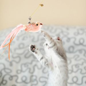 Jouet interactif pour chat avec plume naturelle, ventouse mains libres, pour jeu intérieur - Product Image 5