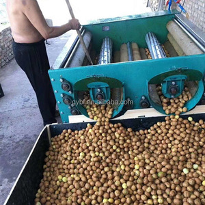 Máquina de Lavado Agrícola Integrada para Nueces y Anacardos, Eliminación de Cáscara Verde <span class=keywords><strong>sin</strong></span> Dañar la Fruta - Product Image 6