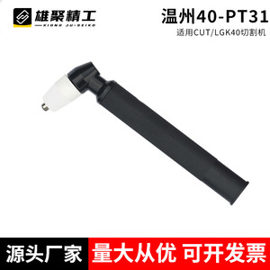 Plasma Cutting Torch Head Pt 31 30 60 A Single Phase For Mild Steel And Stainless Steel Manual Control Wenzhou Made - Product Image 2