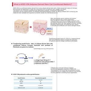 Crema Hidratante Facial Antienvejecimiento con Secreción de Caracol GongSkin, Cuidado de la Piel - Product Image 2