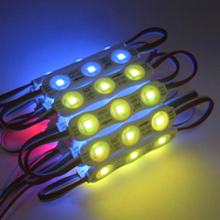 Module de moulage par injection DC 12V RGB IC LED IP65 0.75W 7516 pour usage extérieur certifié ROHS, garantie 2 ans