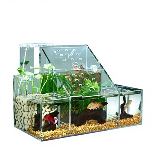 Vente en gros acrylique transparent en forme de rectangle créatif Betta Fish Tank présentoir multi-grille bureau bureau mini accessoire - Product Image 2
