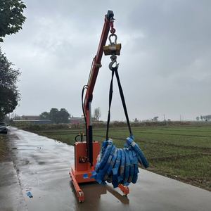 رافعة دوارة صغيرة شبه كهربائية هيدروليكية بذراع متحرك بسعة تحميل 1 طن - Product Image 4