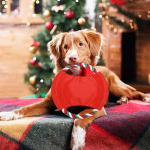 Mainan Natal Tali Anjing Stoking Natal Set Hadiah Natal Tali Simpul Chew Ahan Mainan untuk Anjing Sedang dan Besar Gigi Bersih - Product Image 2