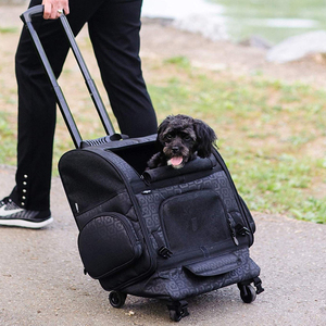 एडजस्टेबल हल्के एल्यूमीनियम कपड़े पालतू जानवर वाहक बैकपैक के साथ कुत्तों और बिल्लियों की यात्रा के लिए - Product Image 5