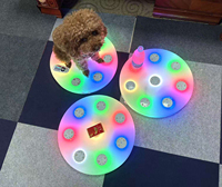 Outil d'apprentissage interactif pour les tout-petits, 3 niveaux dynamiques, fonctions musicales et tactiles, développe les réflexes et la coordination, rechargeable