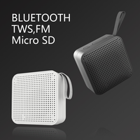 Enceinte Portable Extérieure Économique à Double Appairage avec Support Carte TF et Radio FM, Enceinte Stéréo Sans Fil BT Surround