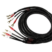 Câble de haut-parleur audio haute fidélité Tonewinner une paire Câble doré 6N OCC Câble de haut-parleur audiophile