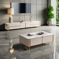 Ensemble de table basse et de meuble TV en marbre brillant moderne, ventes chaudes pour un usage domestique, meubles en bois et en fer pour le salon extérieur