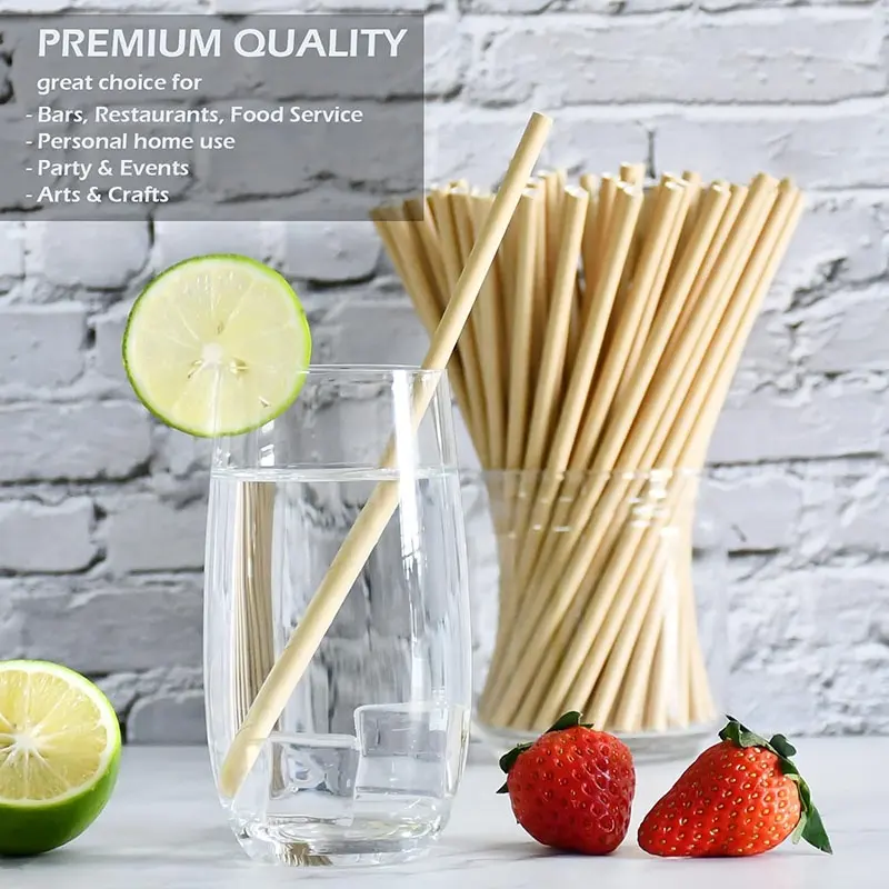 Wholesale Kraft Biodegradable Paper Straws Eco-Friendly Biodegradable Drinking Straws Bulk for Party Supplies
