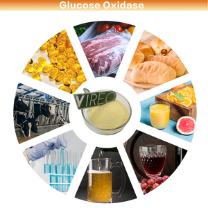 Glucose Oxidase GOD Enzima Aditivo Alimentar Glucose Oxidase - Product Image 2