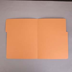 Hot Custom PP Manila File <b>Folder</b> Classic Office & School <b>Document</b> Organizer with Tabs Plastic Wholesale - Product Image 3