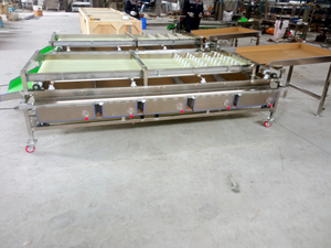 Machine de triage de taille orange de pomme de terre de tomate automatique commerciale - Product Image 6