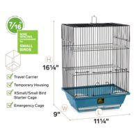 Enclos carré simple pour oiseaux de compagnie, en fil métallique noir, avec plusieurs perchoirs, excellent choix pour l'élevage de petits perruches