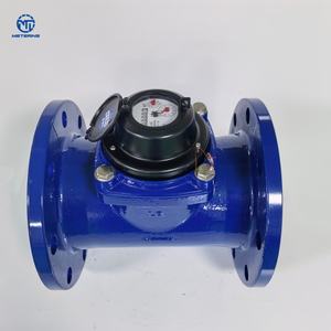 ウォルトマン水道メーター複数モデル水測定 - Product Image 1