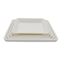Plateau rectangulaire à viande jetable, 1 pièce, plateau en papier pour la viande, sugarcane, sans bpa
