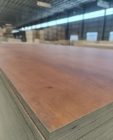 Panneau de contreplaqué mélaminé certifié FSC 18 mm 4x8 en eucalyptus avec noyau WBP, colle phénolique, grade CARB P2 ENF pour présentoirs de magasin de détail