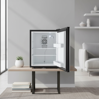 Réfrigérateur Vitrine Professionnel 40L pour Clinique Médicale et Boissons – Mini Frigo Classique de Qualité Professionnelle